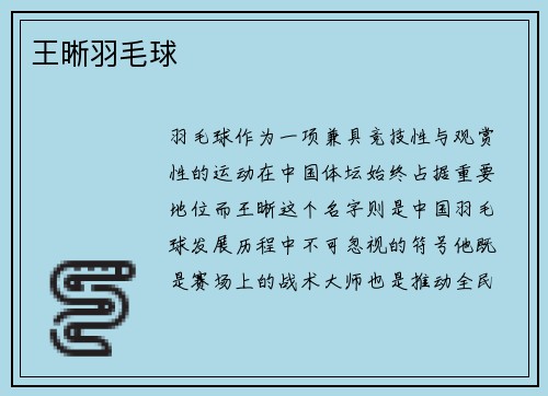 王晰羽毛球
